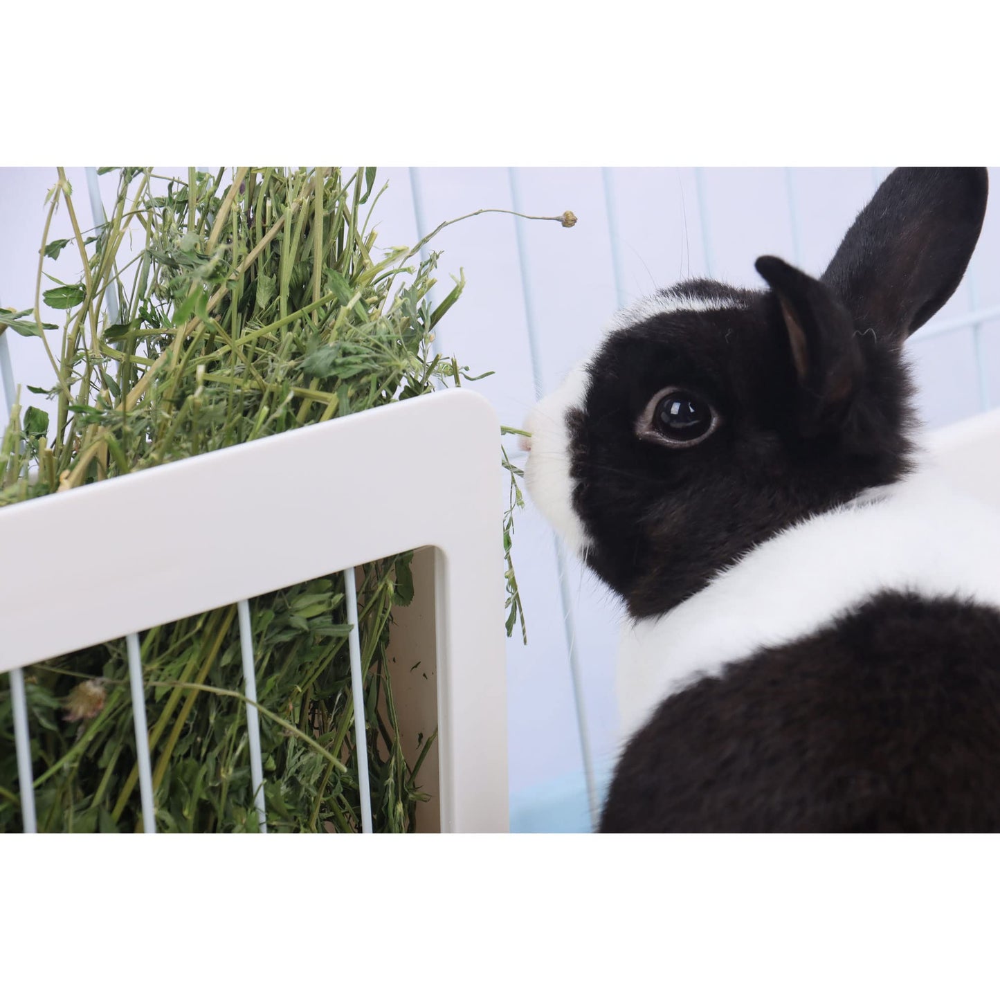 RUBYHOME Rabbit Hay Feeder Rack Food Feeding Manger Bunny Grass Holder Small Animals Less Wasted Food Dispenser for Rabbits Guinea Pig Chinchilla Hamster