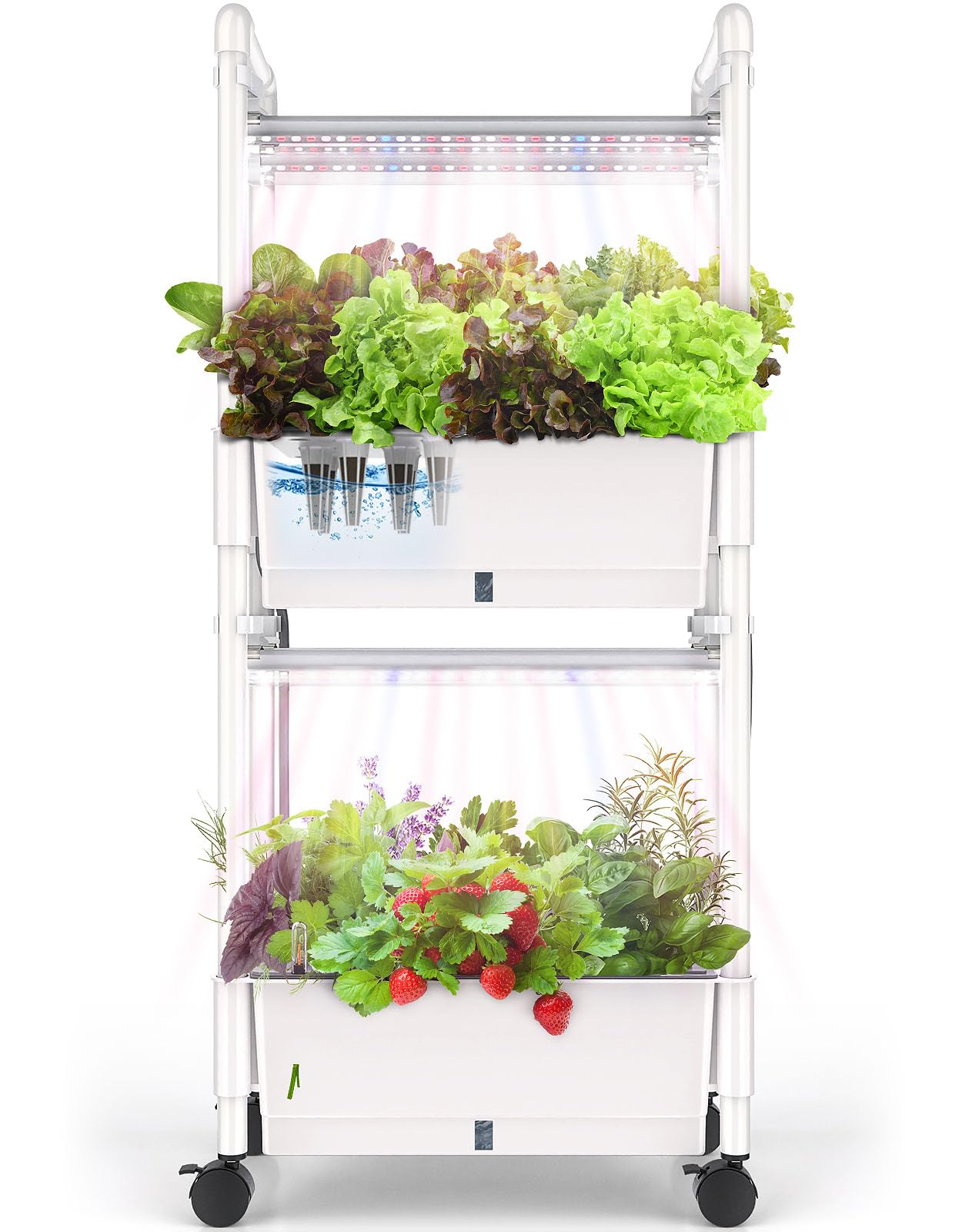 Hydroponics Growing System,AOONEG 28Pods Indoor Herb Garden with LED Grow Light,Hydroponics Growing System Kit with Automatic Timer,Pump System,Adjustable Height (No Seed,Glossy White, 2Layer-28Pods)