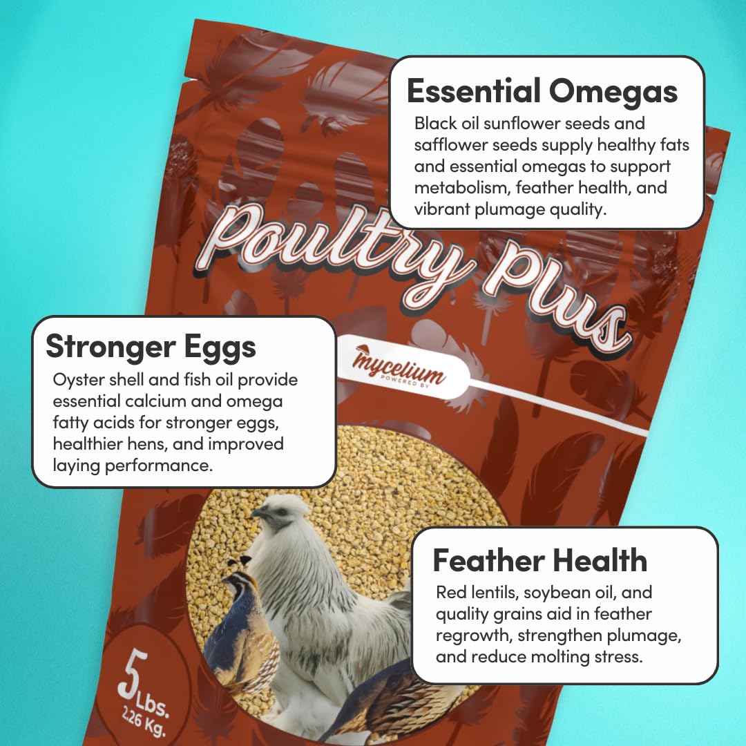 Mycelium Poultry Plus | Premium Chicken, Duck & Turkey Food with Oats, Corn, Wheat, Milo, Safflower & Peas | Supports Egg Production & Feather Health | Made in USA | 5 lb Bag