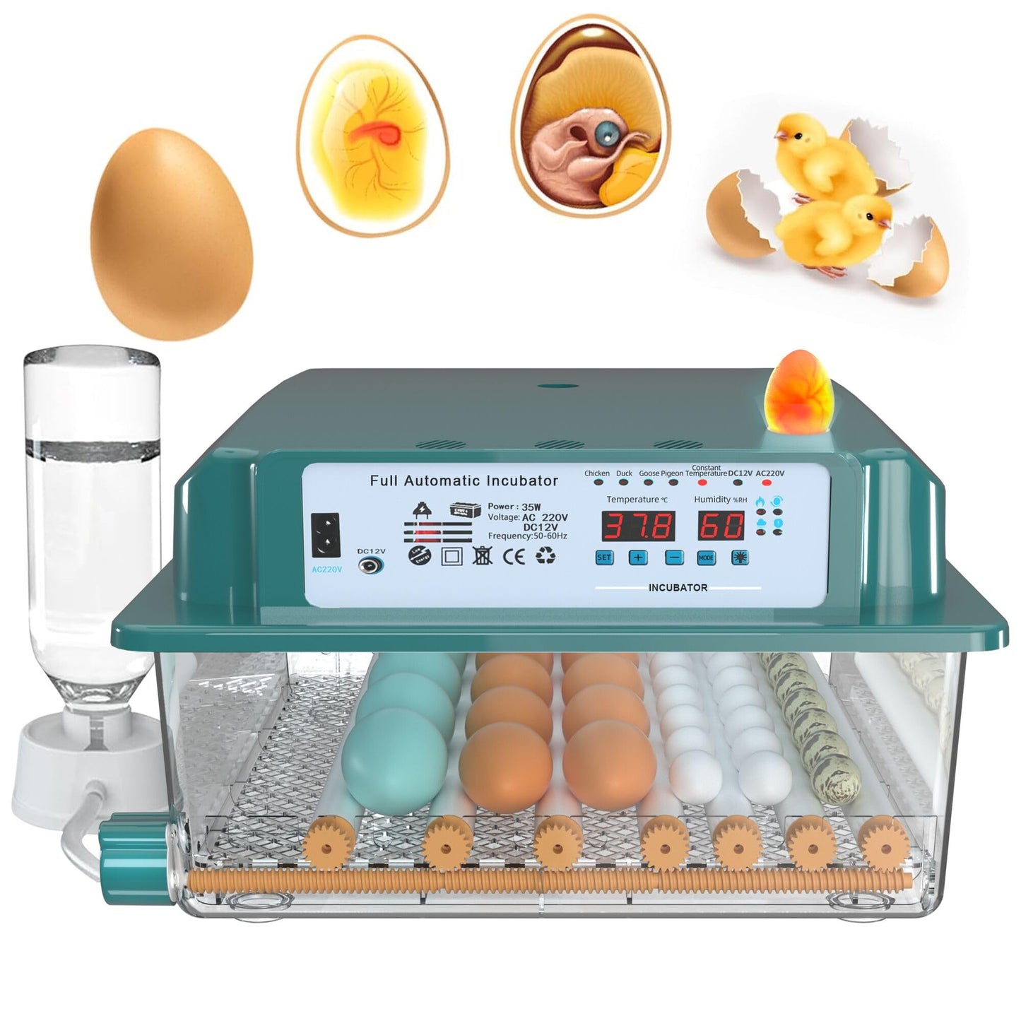 Choies 36 Egg Incubator for Hatching Eggs with Automatic Egg Turning and Humidity Control,Automatic Water Adding,360° View Incubators for Chicken Eggs,Quail,Ducks, Goose, Pigeon,Parrot Eggs