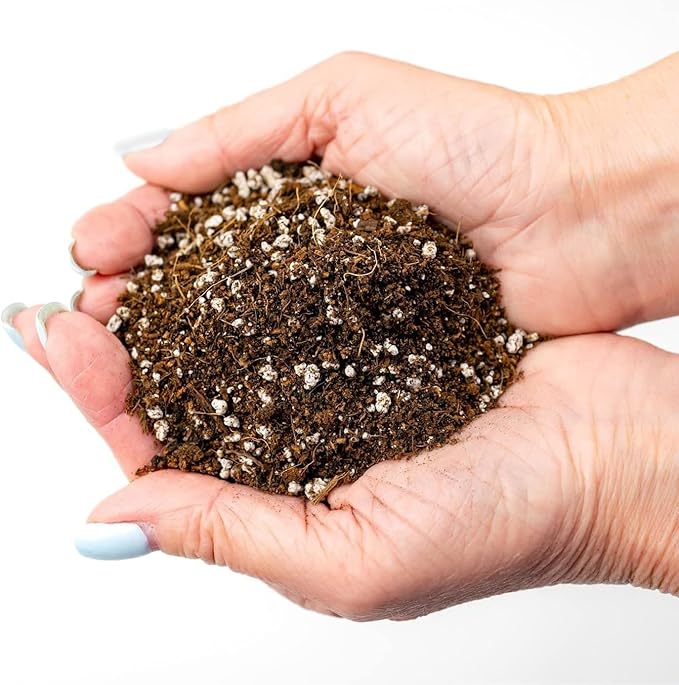 GARDENERA Premium Organic Potting Soil for Garlic - (3 Quart Bag)