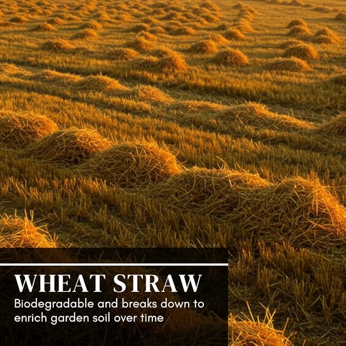 100% Natural Wheat Straw for Animal Bedding, Garden Mulch, Compost & Fertilizer, and Grass Cover (2 Pounds)