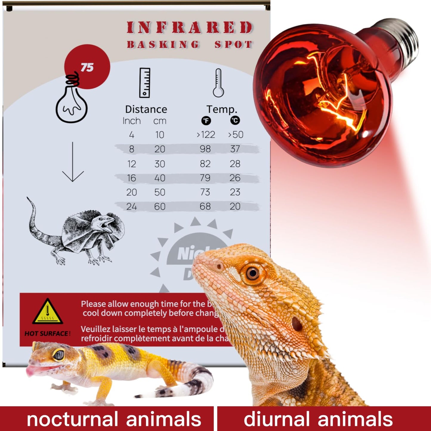 ReptiKing Reptile Red Heat Lamp, 2-Pack 75W Infrared Basking Bulbs Light for Reptiles, Night Red Basking Light for Bearded Dragon, Lizard, Gecko,Turtle Tank Accessories