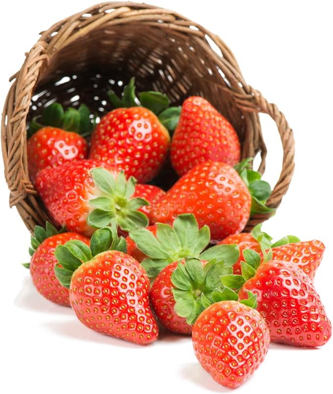 600+ Mix Fruit Seeds, 6 Variety Non-GMO Heirloom and Organic, Strawberry Seeds Raspberry Seeds Mulberry Seeds Apple Seeds Orange Seeds Blueberry Seeds for Planting Home Garden