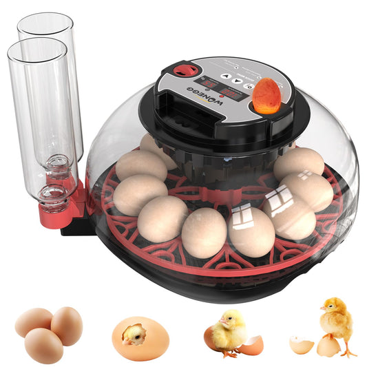 IKILEOGY 12 Egg Incubator for Hatching Chicken/Quail/Duck Eggs, Auto Turning, Digital Humidity/Temp Control, LED Candler, Auto Water Refill, 360° View (Smart Sensor)