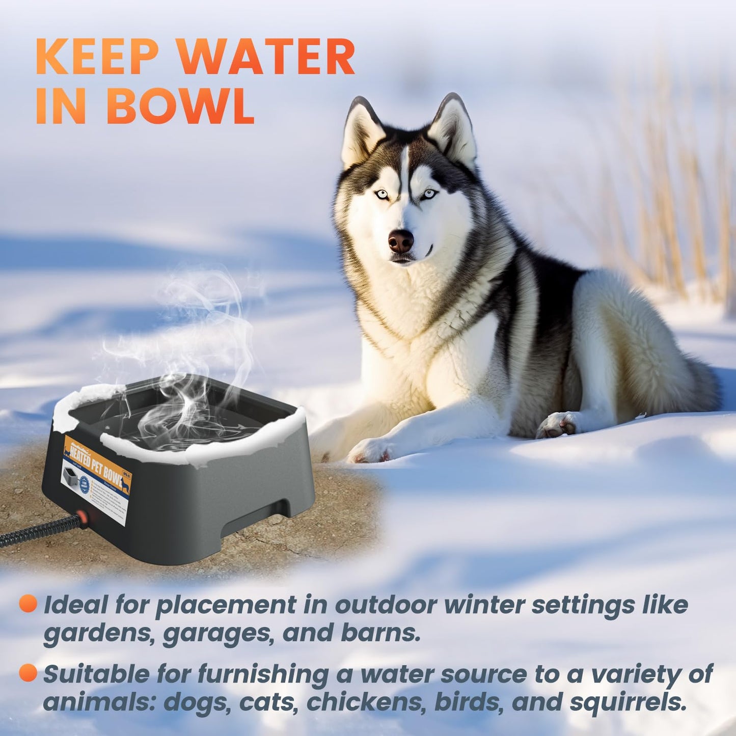 120OZ/3.5L Heated Water Bowl, Heated Water Bowl for Outdoor Cats Dog Chicken Rabbit, Heated Dog Bowl with Chew Resistant Power Cord, Melt Ice, Provide Drinkable Water for Feral Cats, (Grey)