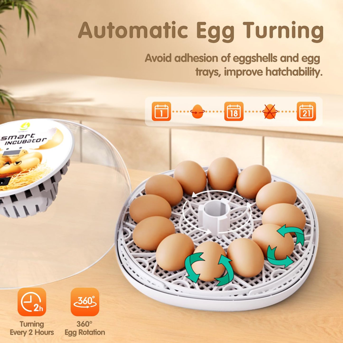 Incubators for Hatching Eggs Quail Egg Incubator 12 Eggs with Automatic Egg Turning and Humidity Control 360° Viewing for Chicken, Ducks, Goose, Pigeon for Lab Farm and Home