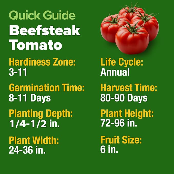 HOME GROWN Heirloom Tomato Seed Collection – Beefsteak & Large Red Cherry (1100+ Non-GMO Seeds for High-Yield Gardening) Solanum lycopersicum