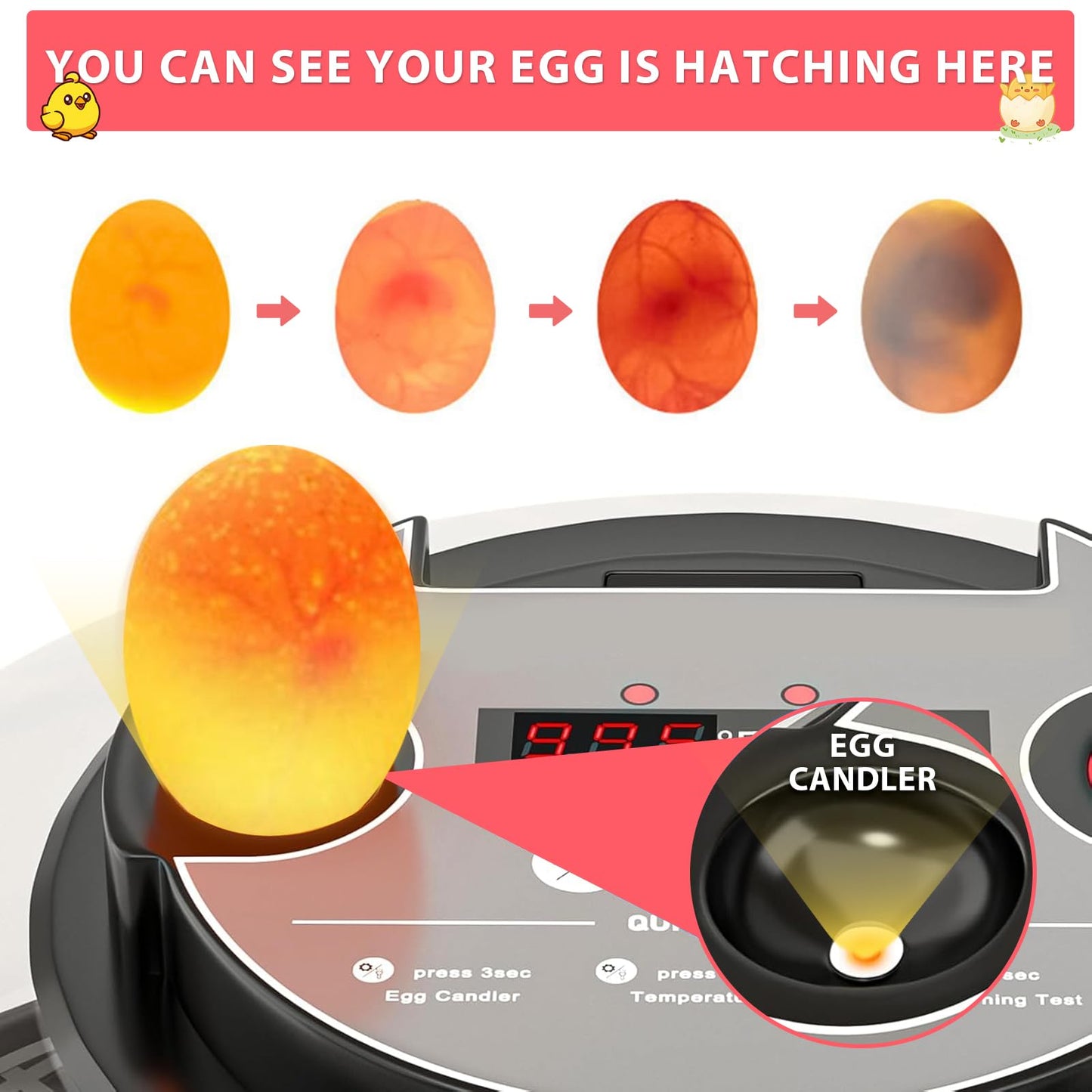 Florienix 12 Egg Incubator Automatic Egg Turning, Temperature & Humidity Control with Digital Display, Built-in Egg Candler & Auto Water Refill for Chicken Duck Quail Eggs