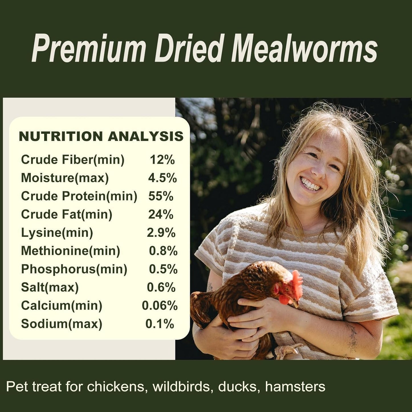 Adaman Dried Mealworms -10 LBS- 100% Natural Non GMO High Protein Mealworms - Bulk Meal Worms for Chickens & Birds, Ducks - Best Chicken Treats, Bird Food, Turtle Food