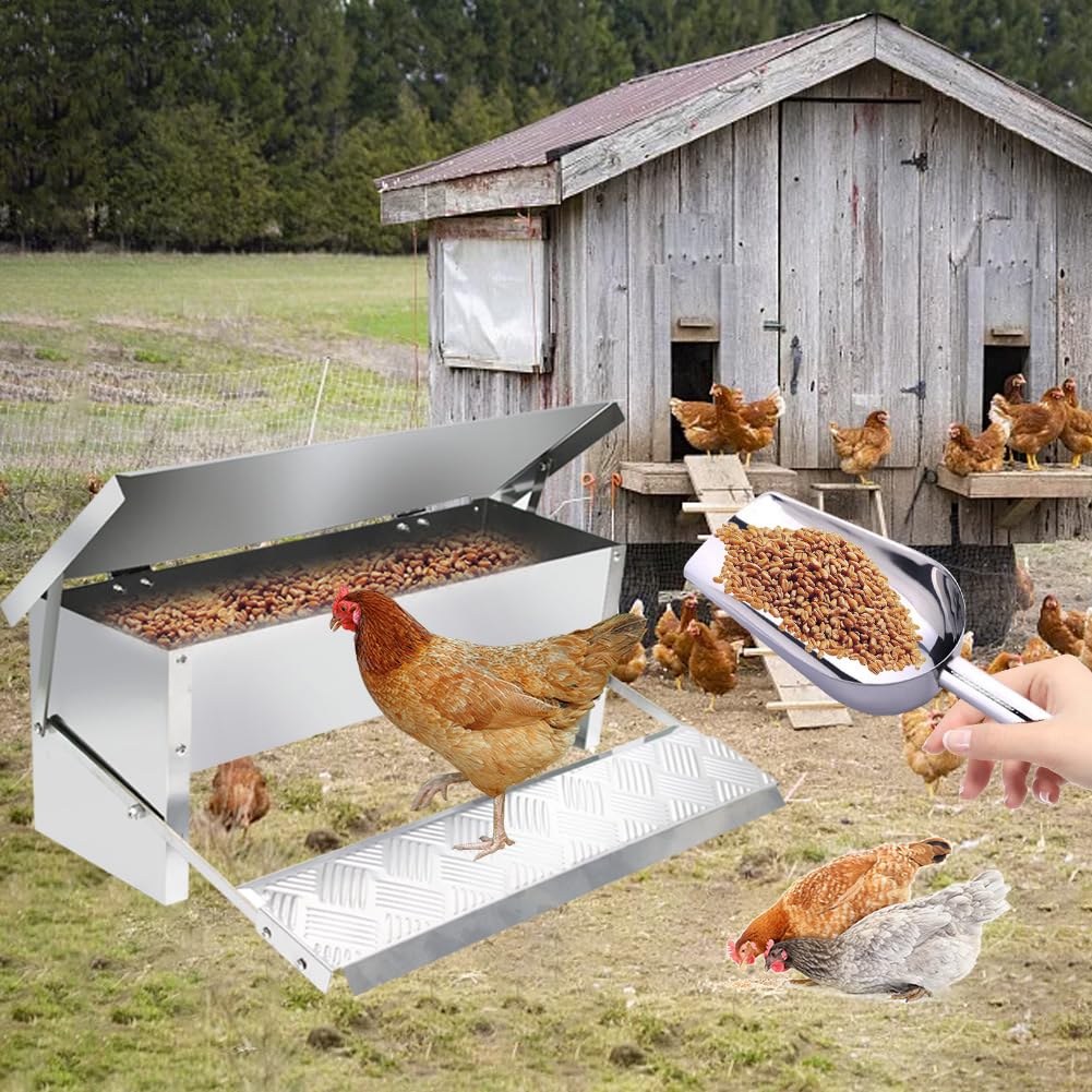 APlayfulBee Automatic Chicken Feeder 5L Treadle Galvanized Steel Poultry Feeders Self-Opening Automatic Food, with Weatherproof Lid Rain Cover for Roosters Pheasant Chicken Outdoor Coop