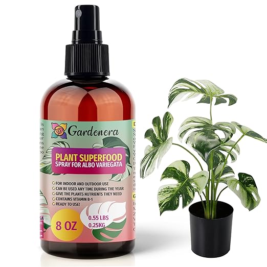 𝐁𝐄𝐒𝐓𝐒𝐄𝐋𝐋𝐄𝐑 Plant Superfood for ALBO VARIEGATA Plants with B1 Vitamin, Glucose and Essential Minerals - Organic Plant Food Fertilizer for Indoor & Outdoor ALBO VARIEGATA - 8oz