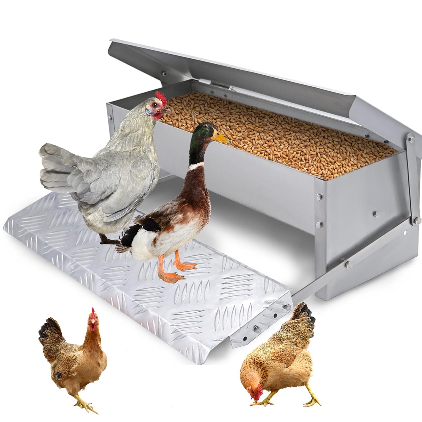 MUDUOBAN Treadle Chicken Feeder Rodent Proof No Waste,15lbs Large Capacity Chicken Grit and Oyster Shell Feeder for Poultry Duck,with Weatherproof Lid