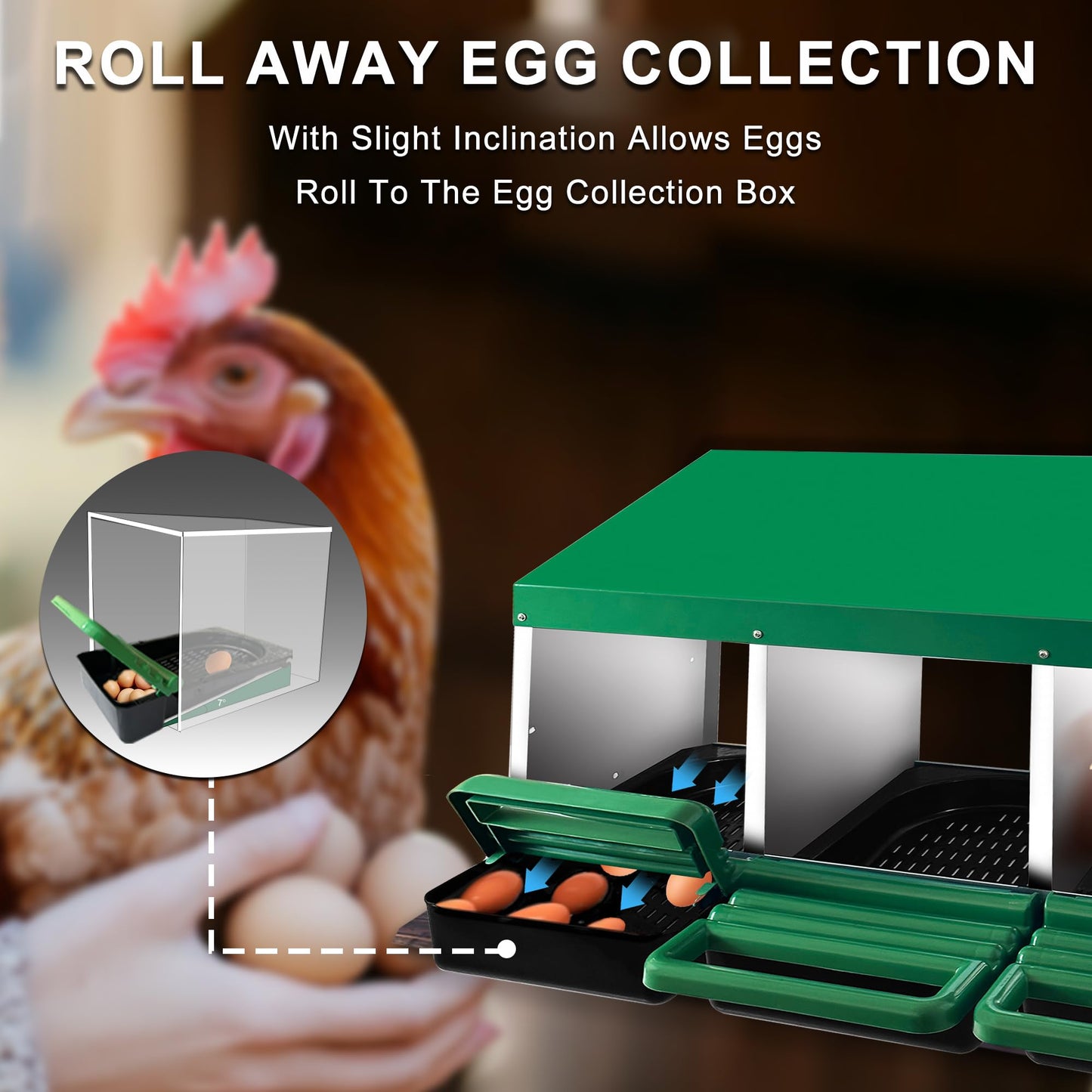 Eggluuz Chicken Nesting Box, 3 Compartments Chickens Egg Laying Nest Boxes for Hens Green
