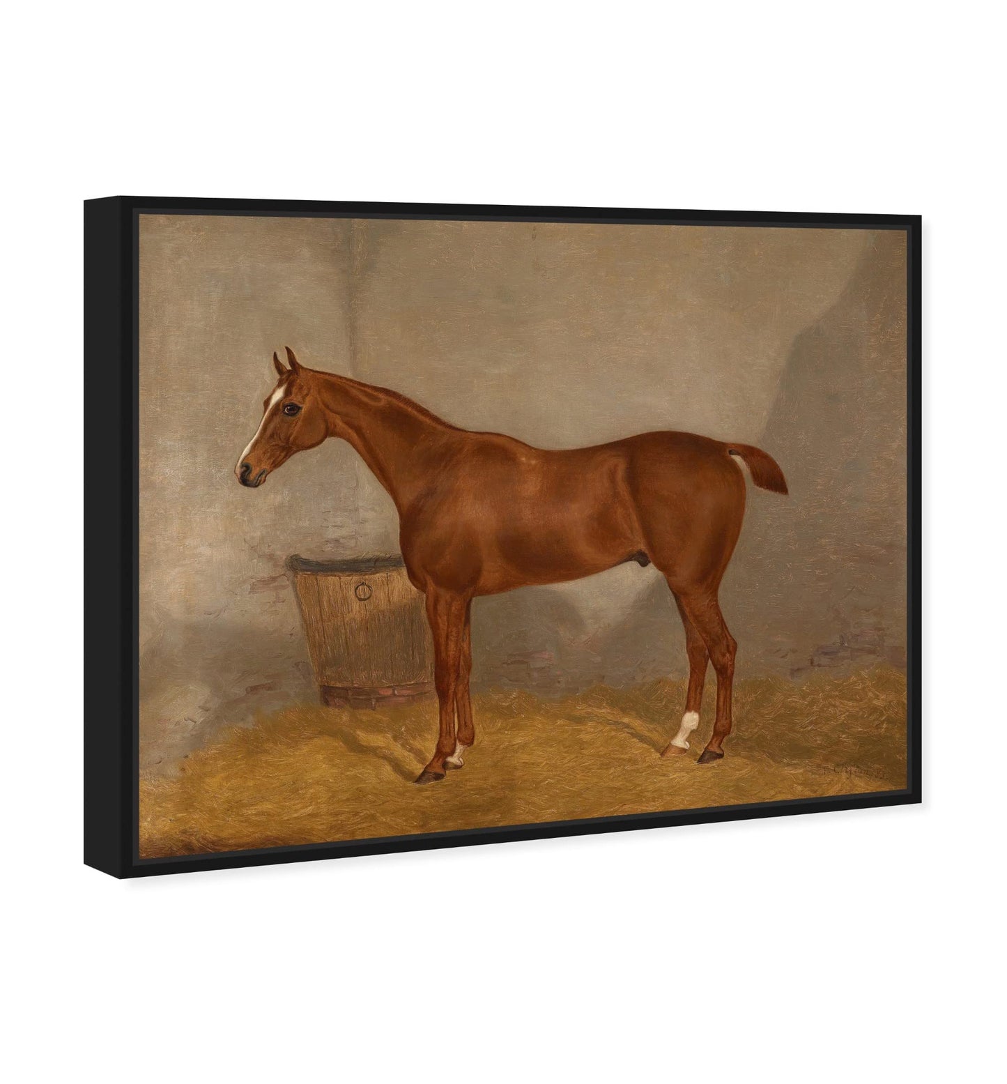 Country Farmhouse Canvas Print Painting Animal Wall Art 'Southern Simple Stable Horse II' Unframed Gallery Wrapped Canvas Rustic Home Décor 45x36 in Brown, Gray by Oliver Gal