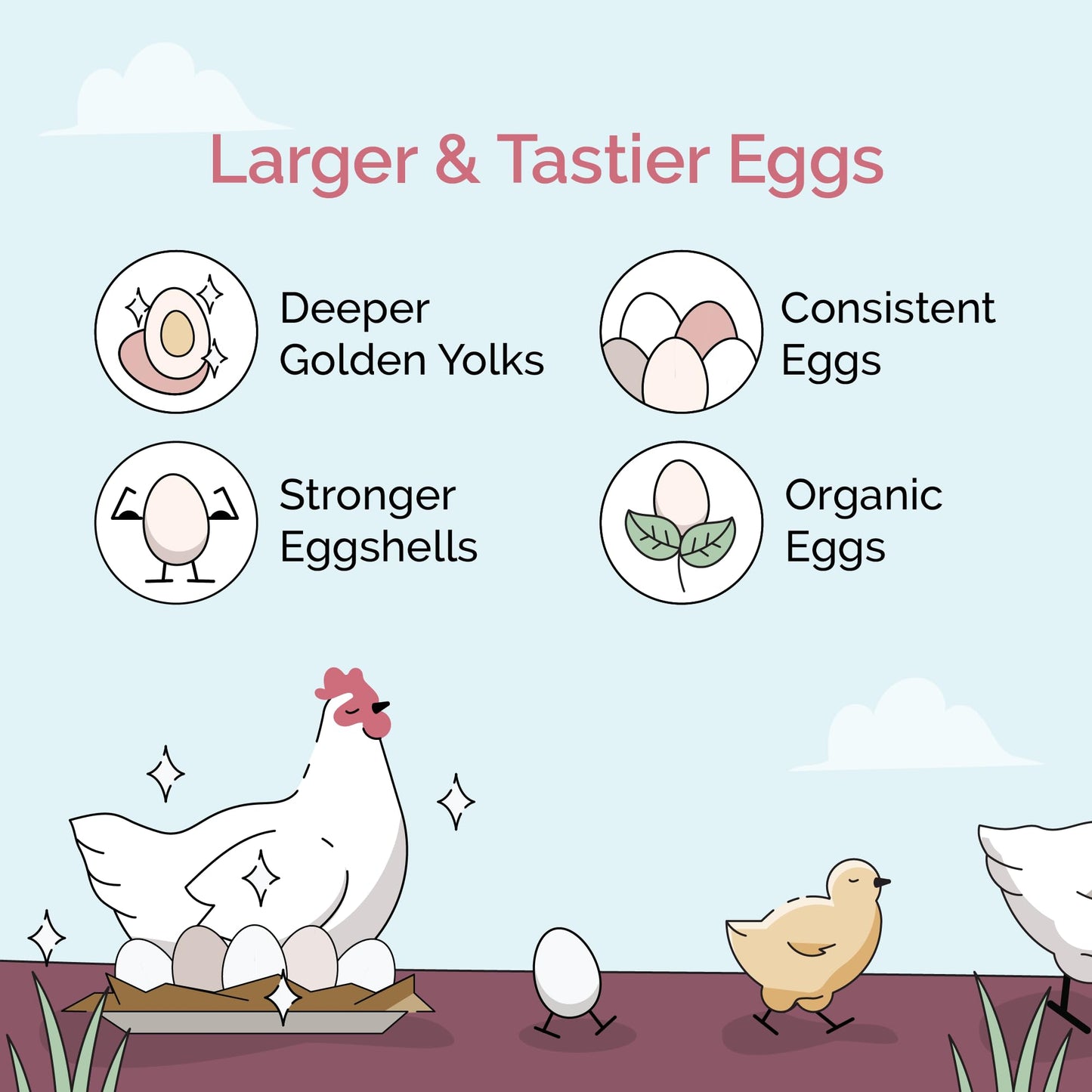 Mile Four Oyster Shell for Chickens - Calcium Supplement for Chickens, 100% Natural Limestone Calcium Carbonate, Strong Eggshell & Bone Booster, 4 lbs