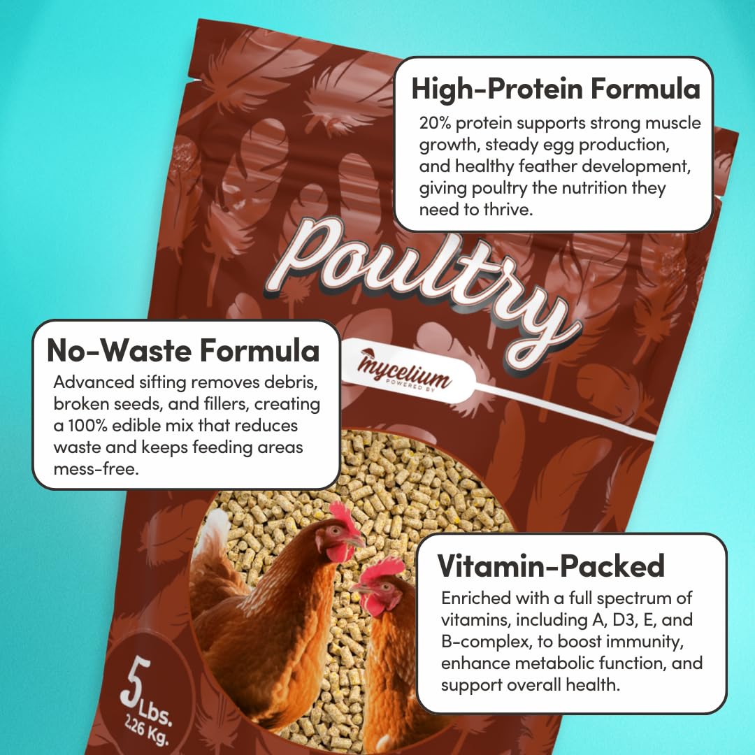 Mycelium Poultry Super Flock Food | High Protein Bird Food with Vitamins & Corn for Chicken, Turkey, Duck & Geese | Supports Growth, Egg Production, Feather & Immune Health | 5 lb Bag