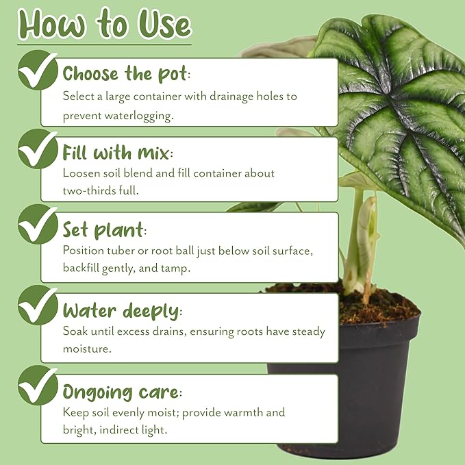 Elephant Ear Potting Soil Mix (8 Quarts), Colocasia and Alocasia Potted Plant Blend