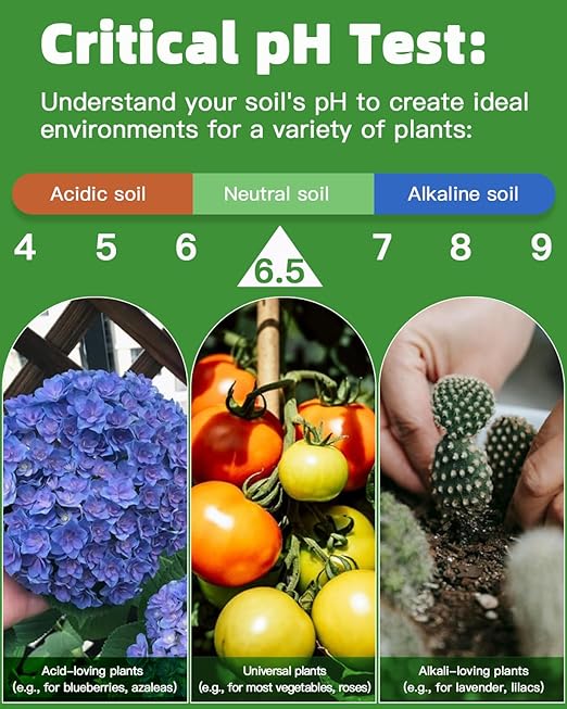 2-in-1 pH & Nitrogen Soil Test Kit, Home Soil Testing Kit for Lawns Gardening Grass Vegetables Nutrients, Soil pH Nitrogen Tester Strips Separately Sealed in Foils, Easy to Use, Rapid Results