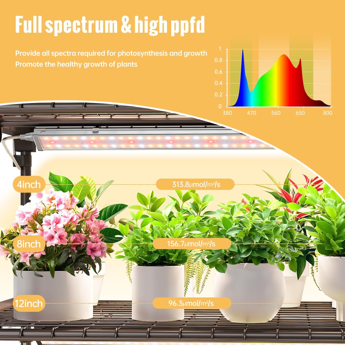 SpeePlant Mini Indoor Greenhouse with Grow Light - 4 Tier Outdoor Portable Greenhouse with Shelves, Waterproof PVC Cover and 4 Dimmable 1.6FT 20W Grow Lights, 26.4"(L) X 19"(W) X 61"(H)