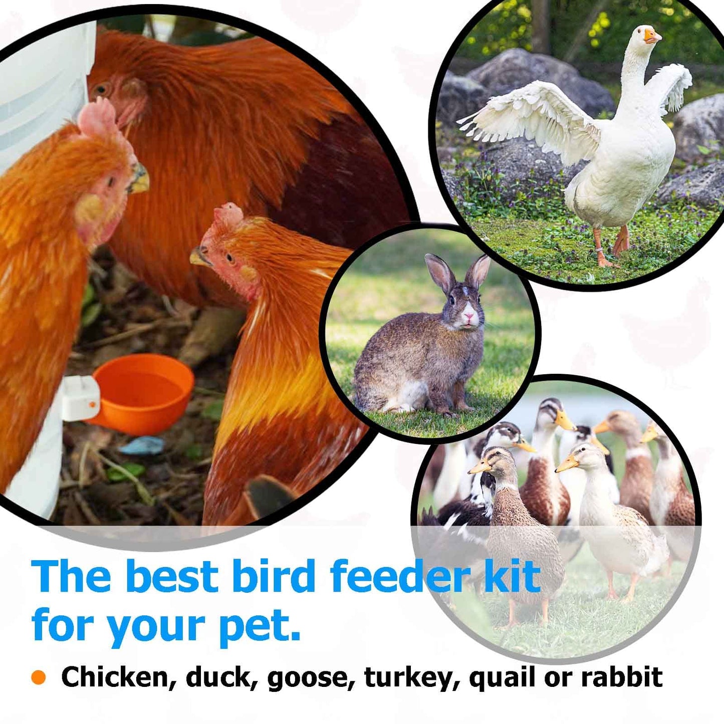 Large Automatic Chicken Waterer Cups with Inserts, Chicken Water Feeder Suitable for Chicks, Duck, Goose, Turkey and Bunny, DIY Poultry Water Feeder Kit (5 Pack-Orange)