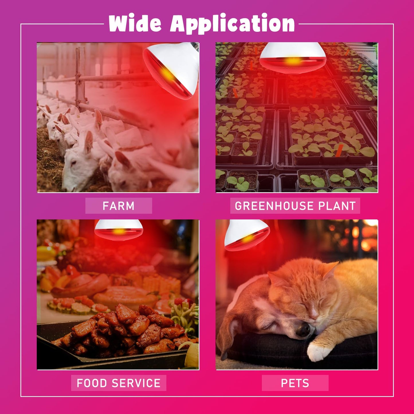 LUCKY HERP Infrared Heat Lamp for Chickens - 250 Watts Red Heat Lamp Bulb 1 Pack, Heat Light Bulb for Brooder Coop, Food Service, Chicks, Pet, Reptile