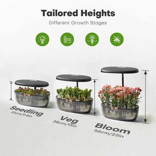 Ahopegarden Hydroponics Growing System kit: Indoor Herb Garden - 12 Pods Plant Germination Kit