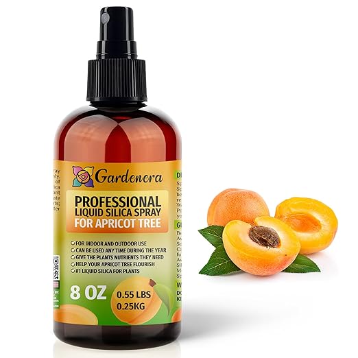 𝐒𝐔𝐏𝐄𝐑𝐈𝐎𝐑 Liquid Silica Boost Fertilizer and Supplement Spray for Apricot Tree Plants – Pre-Mixed, Ready-to-Use Liquid Silicon Plant Superfood Mist for Indoor & Outdoor Plants – 8oz