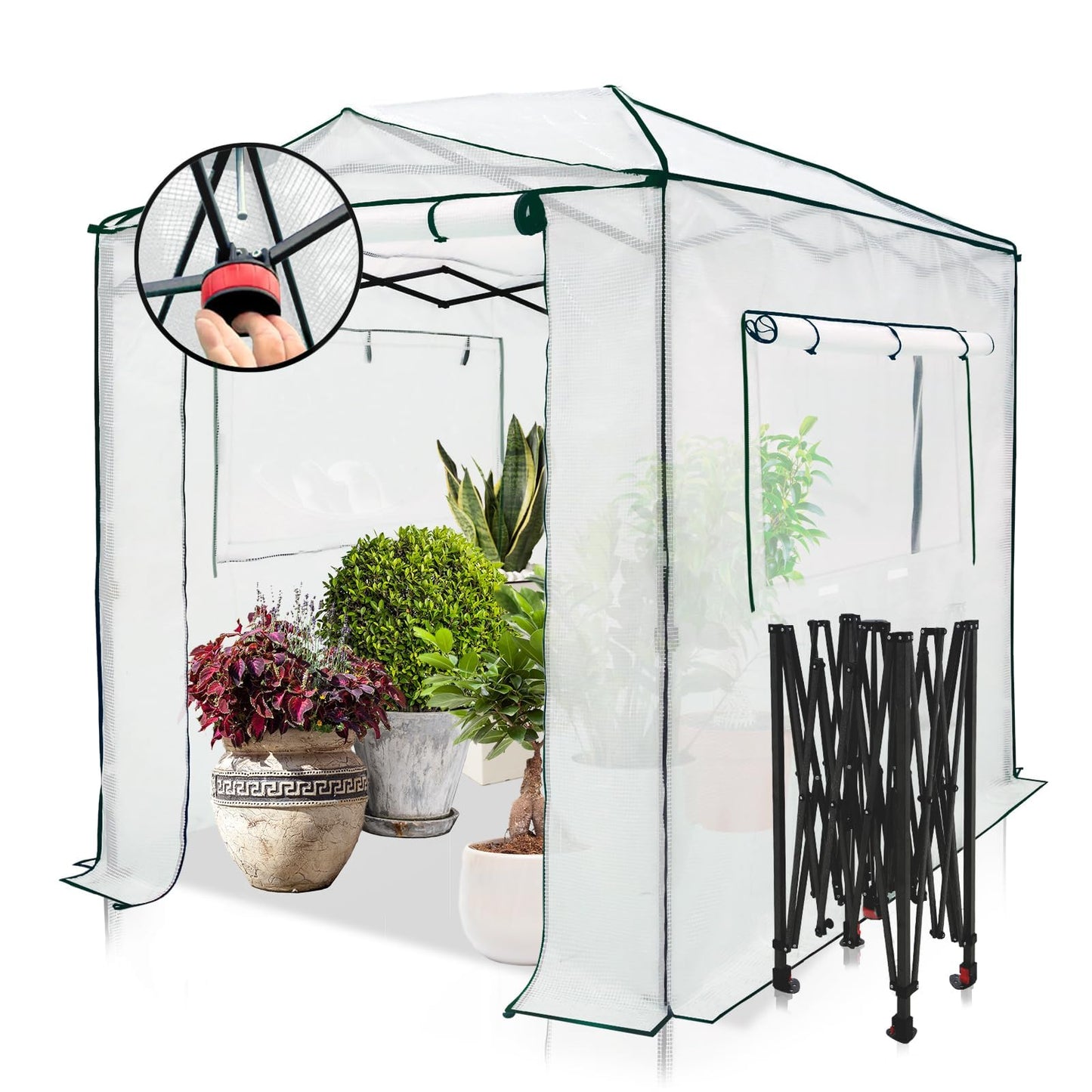EAGLE PEAK Instant Pop-up Greenhouse, Indoor Outdoor Plant Gardening Green House, Roll-Up Zipper Doors and Side Windows, Walk in 8x6 ft, White/Clear