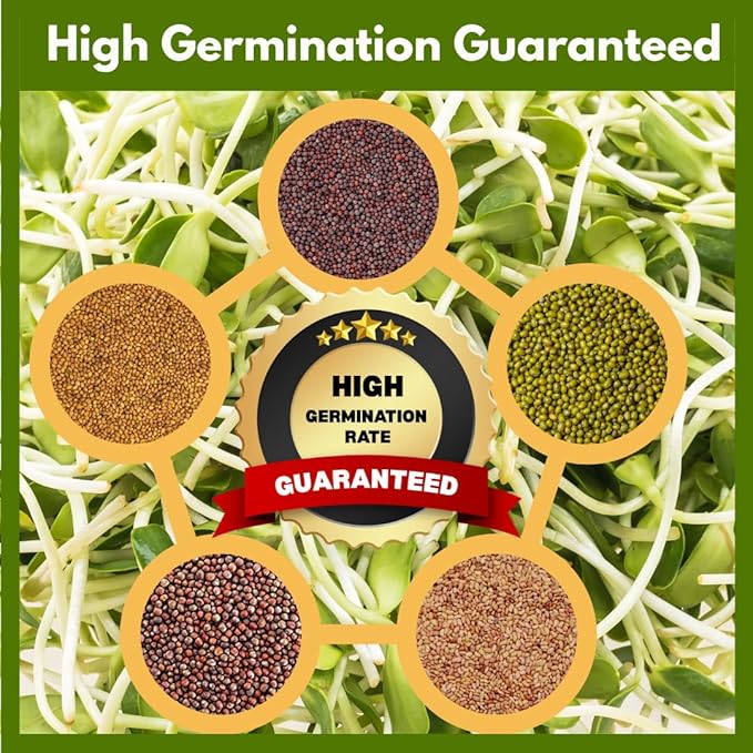 ZestiGreens Sprouting Seed Sampler – 5 Top Varieties (2 Packs Each, 11 g) | Broccoli, Alfalfa, Mung Bean, Clover & Daikon Radish | High-Germination, Perfect for Jars & Trays