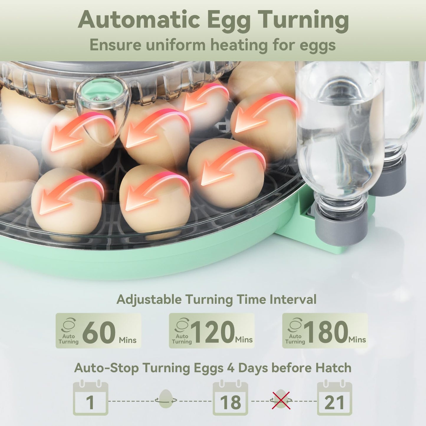 18 Egg Incubator with Automatic Egg Turning and Humidity Control - Egg Incubator for Hatching Eggs Chicken Duck Goose Quail Turkey Parrot, Fit for Farm, Lab, Science Classroom, Home（Green）