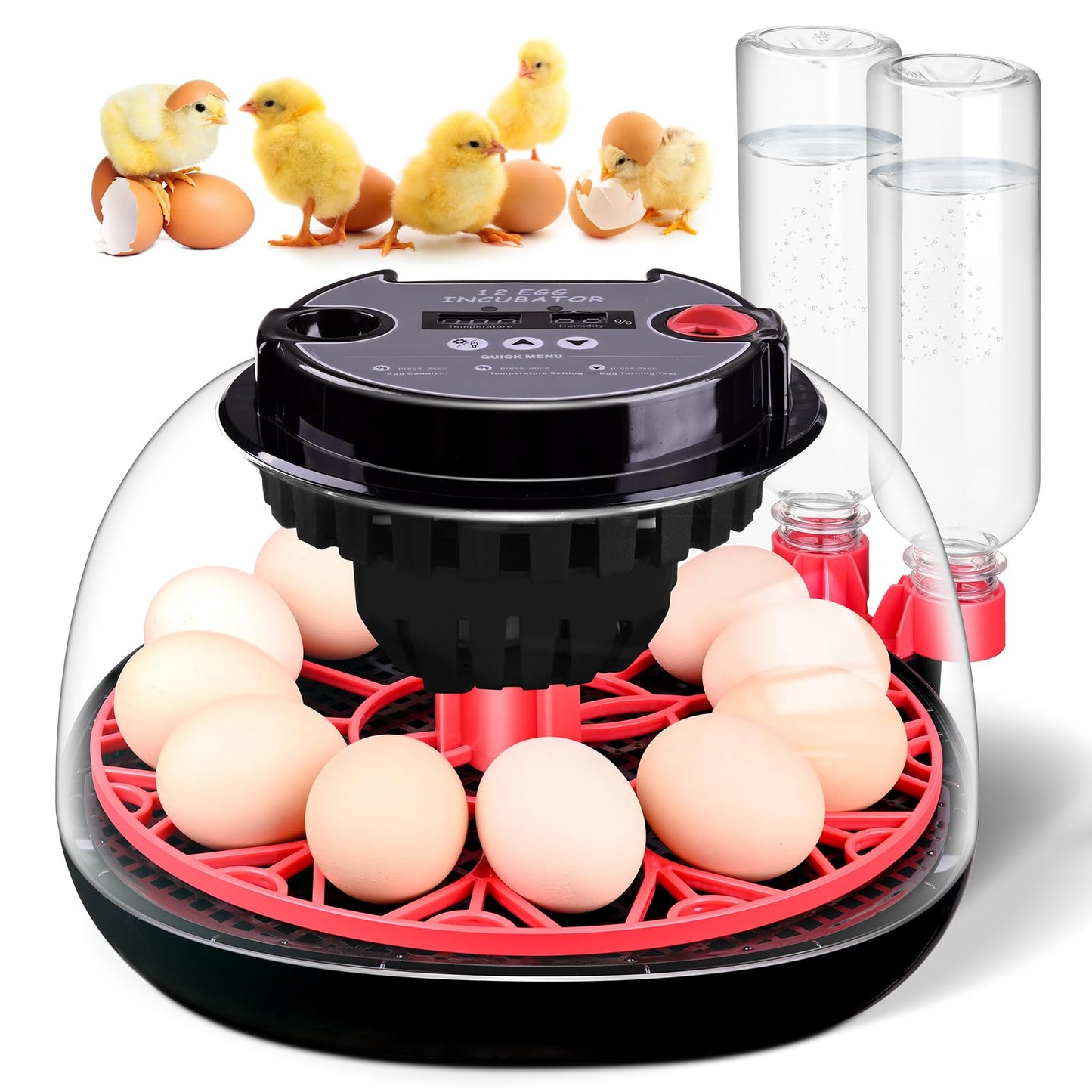 Incubator for incubating Eggs,12 Egg with Temperature and Humidity Control, Automatic Egg Turner, Egg Candler, External Water Bottle Refill, 360° Clear View, Hatching Chicken Duck Quail Bird