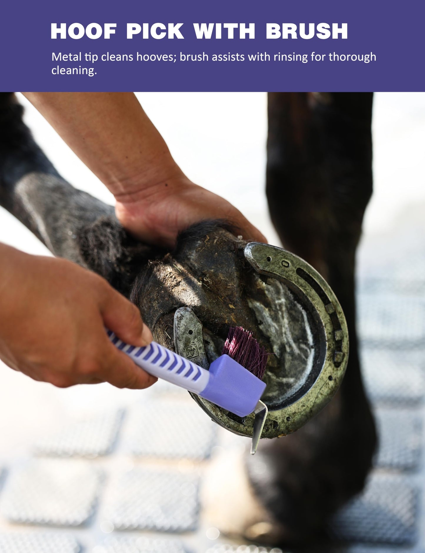 Furrishine 9PCS Horse Grooming Kit Curry Comb Sweat Scraper Horse Bathing Supplies Grooming Tools with Storage Bag Sugar Taro