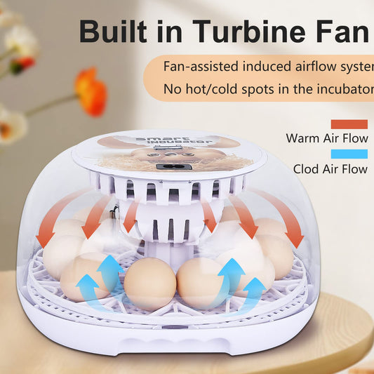 NORJIN Egg Incubator, 12 Eggs Incubator for Hatching Eggs, Digital Incubator Chicken Egg Incubator with Automatic Egg Turning and Water Adding for Hatching Chickens Birds Ducks