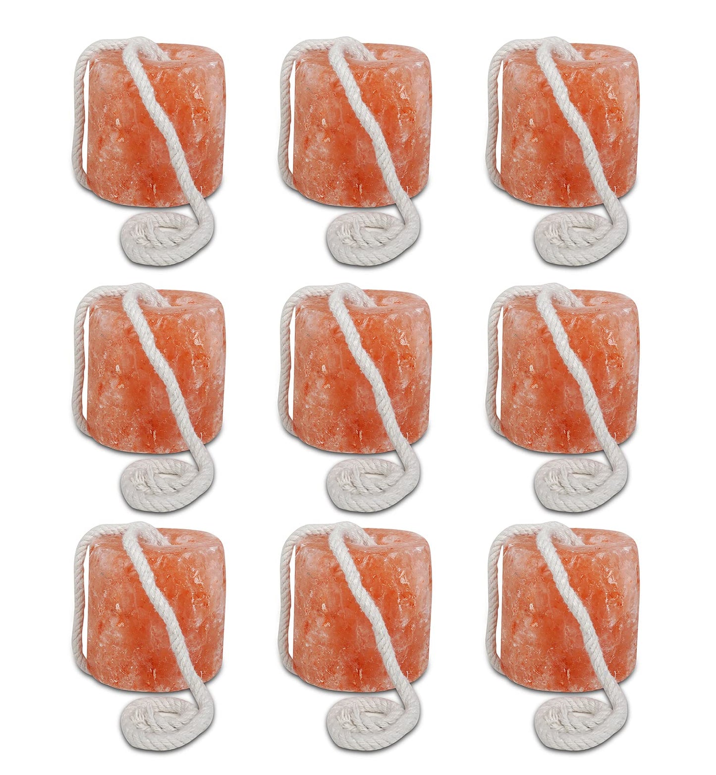Himalaid Himalayan Pink Salt Lick (2.5 LBS Pack of 9) - 100% Pure & Natural Feed Salt Block | Natural Minerals and Trace Elements, for Livestock and Wildlife Animals