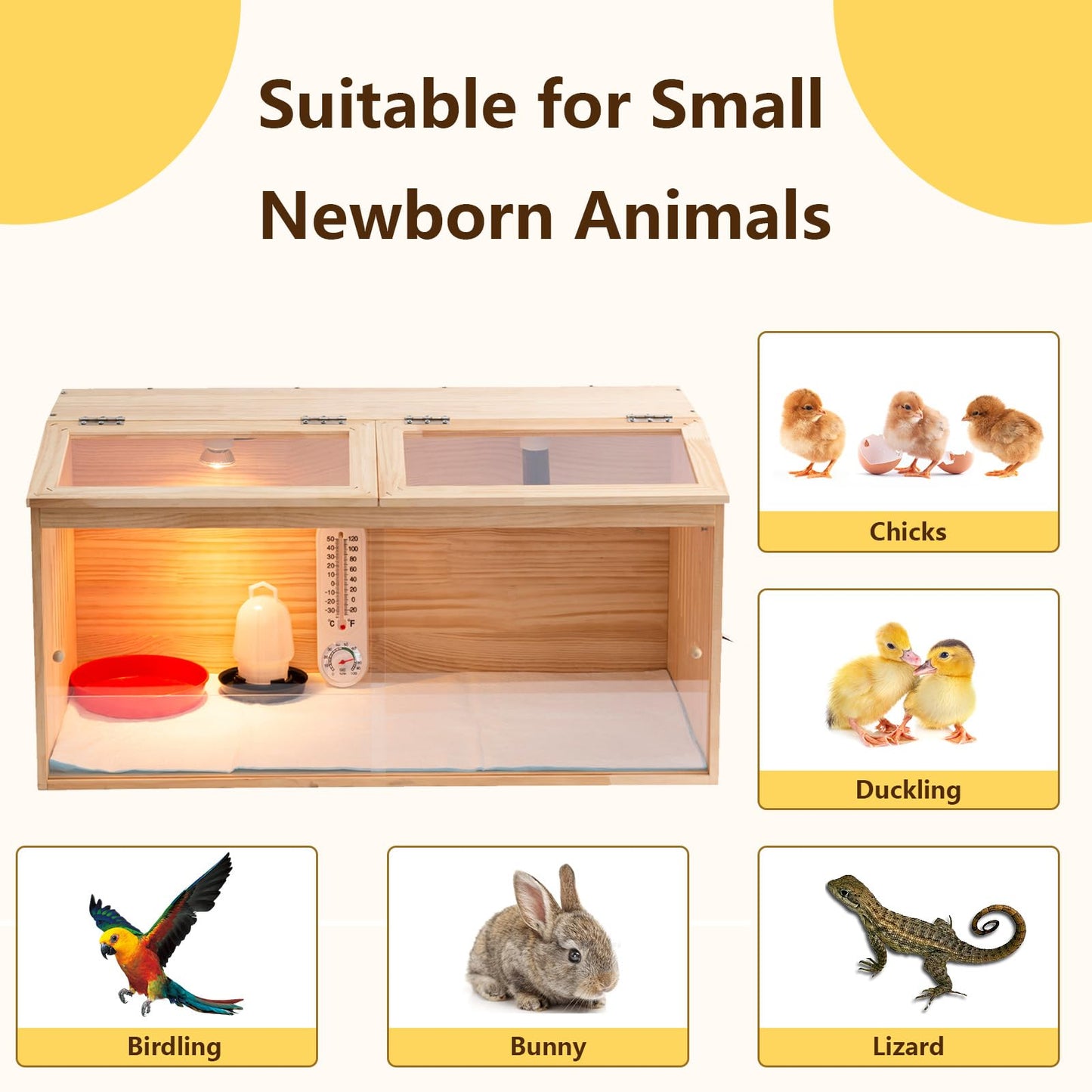 Large Wooden Chicken Brooder Box with Bulb Set and Thermometer - Brooder Box for Chicks Indoor Accommodates Up to 12 Chicks - Ideal for Chickens, Ducks, Quails, Hamsters, and Lizards（32x16x16 Inches）