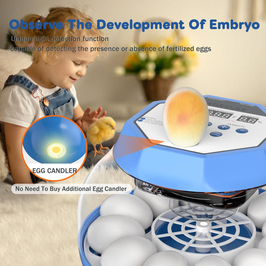 Incubator for Hatching Eggs12-24 Egg Capacity, Automatic Egg Turner, Temperature & Humidity Control, 360° Viewing for Chicken, Duck and Quail Eggs, Birds (Built-in Candler & Quiet Design)