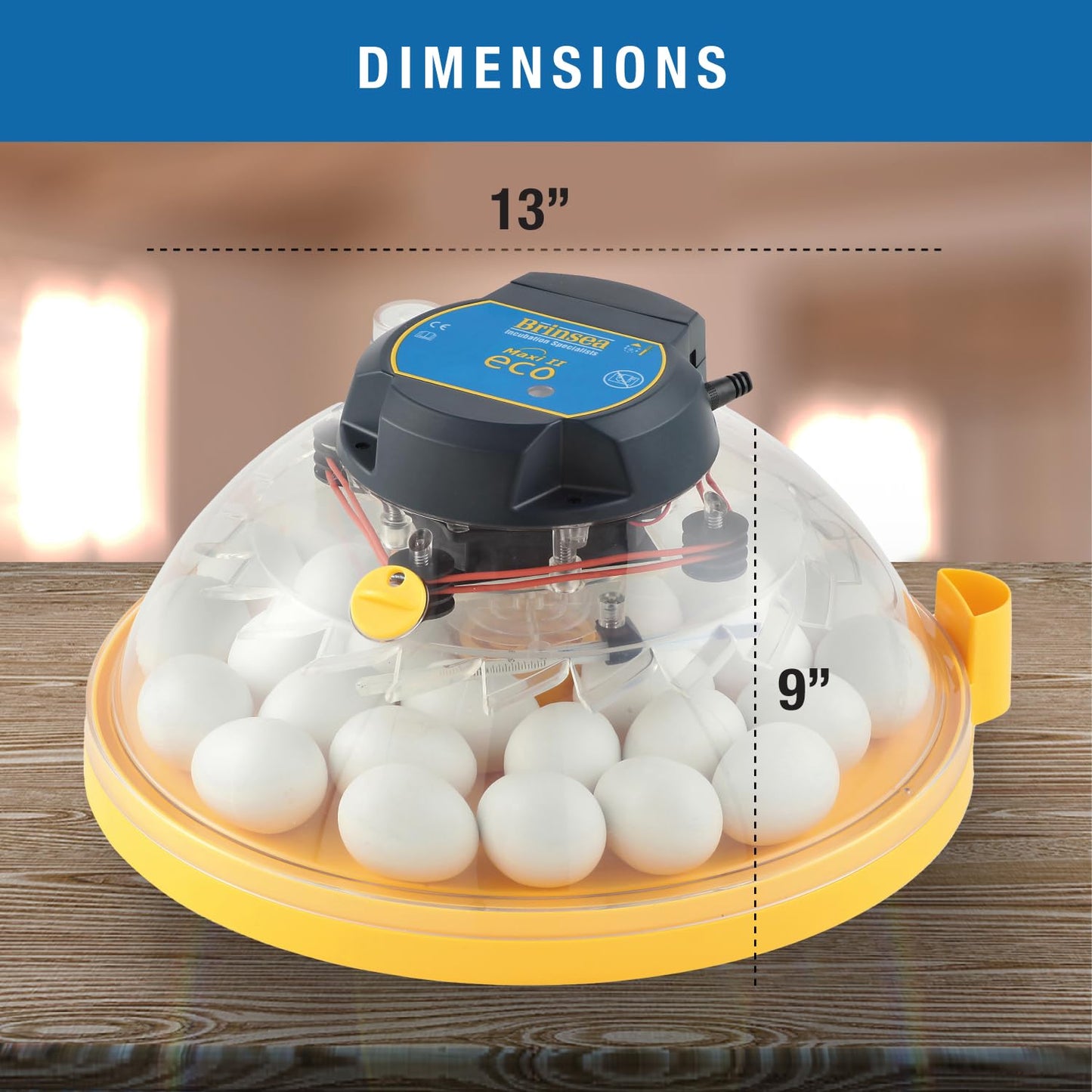 Brinsea Maxi II Eco Manual Egg Incubator with Electronic Temperature Control, Fan Assisted Air Circulation for Hatching 30 Chicken, Duck, or Other Eggs, Ideal for Beginners