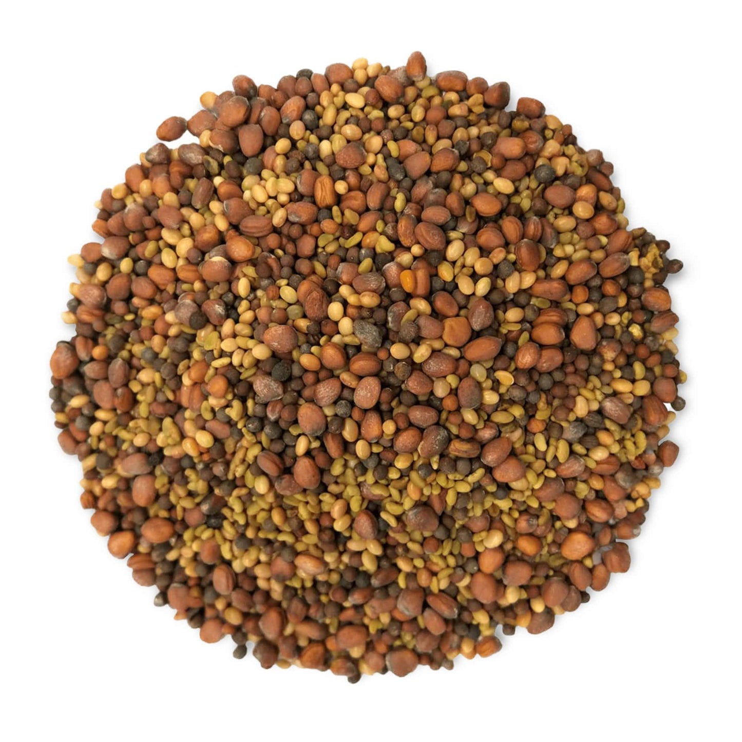 Food to Live Salad Mix of Sprouting Seeds, 10 Pounds – Broccoli, Clover, Radish, Alfalfa, Kosher, Raw, Vegan