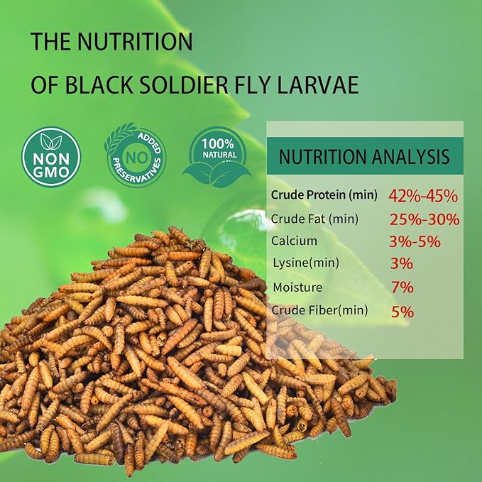 Dried Black Soldier Fly Larvae 20LB-Pure Natural Non-GMO BSF Larvae for Chickens-More Calcium Than Mealworms High-Protein Chickens Treats for Layer Hens Wild Birds Ducks