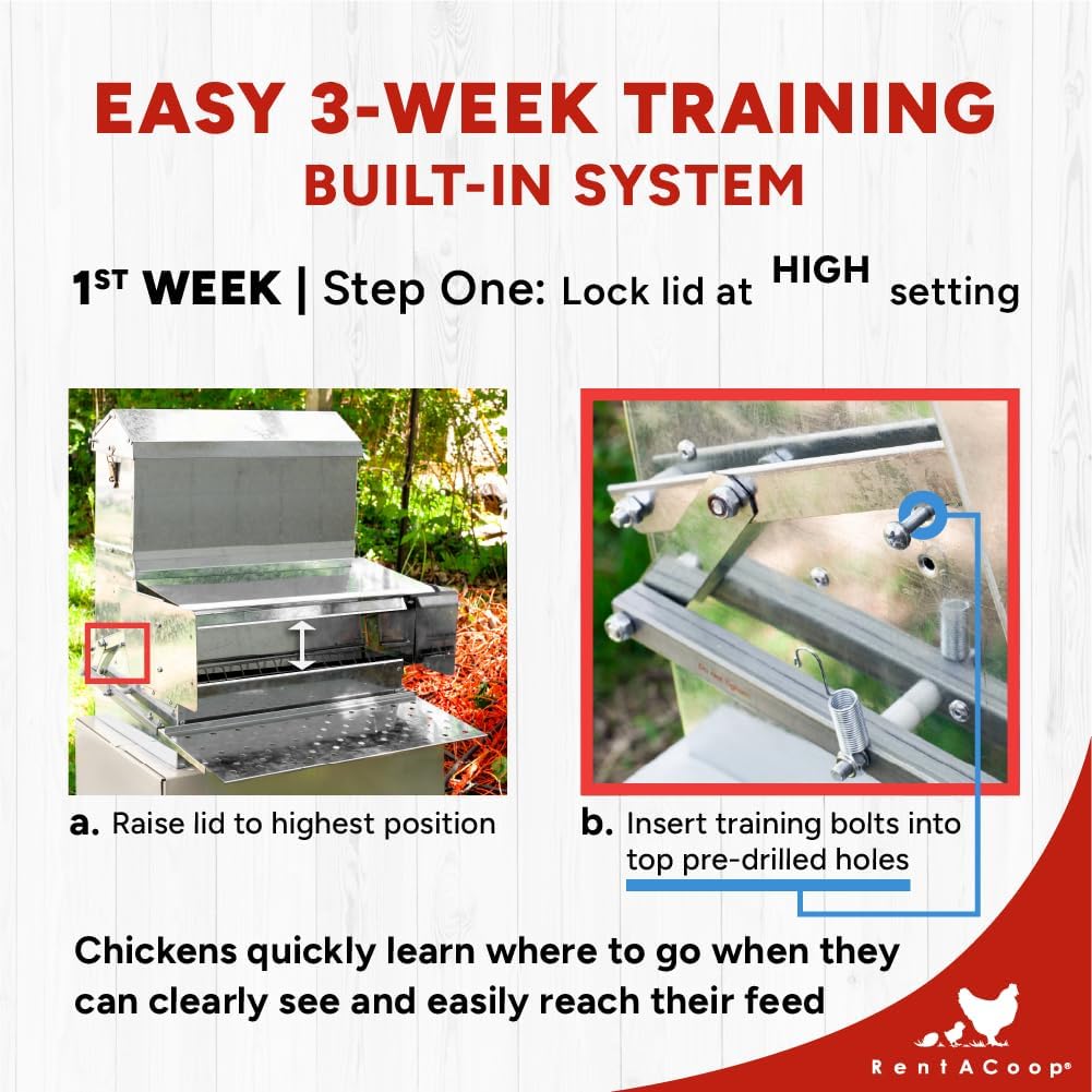 RentACoop Automatic Metal Treadle Feeder - Outdoor Use, Rainproof - Suitable for Chickens, Bantams, Poultry, Pheasants, etc. - 40lb Capacity
