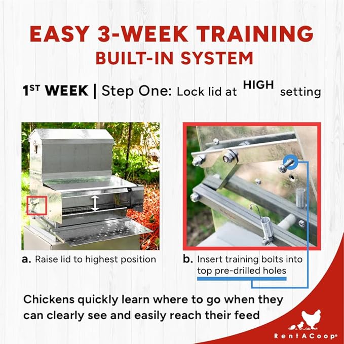 RentACoop Automatic Metal Treadle Feeder - Outdoor Use, Rainproof - Suitable for Chickens, Bantams, Poultry, Pheasants, etc. - 40lb Capacity