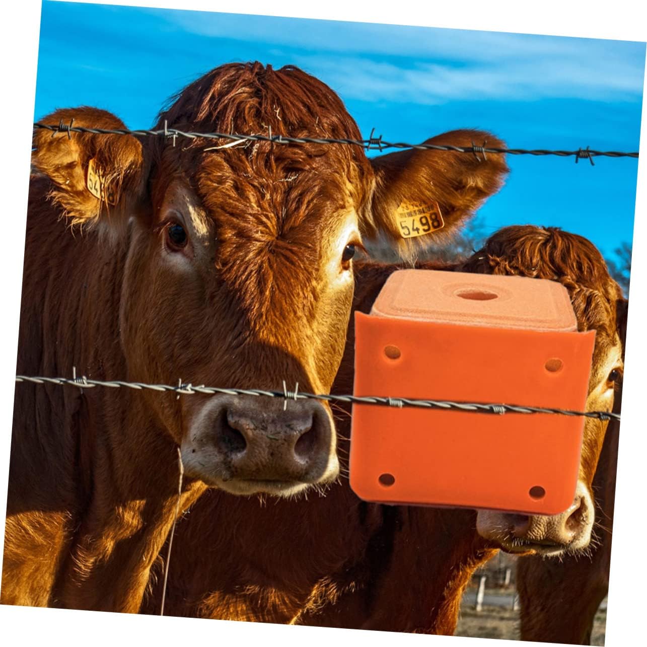 CAXUSD 2Pcs Thickened Salt Block Holders for Livestock Mixed Style Sheep Salt Lick Feeding Boxes with Lid and Spoon Durable Salt Containers for Cattle and Horses