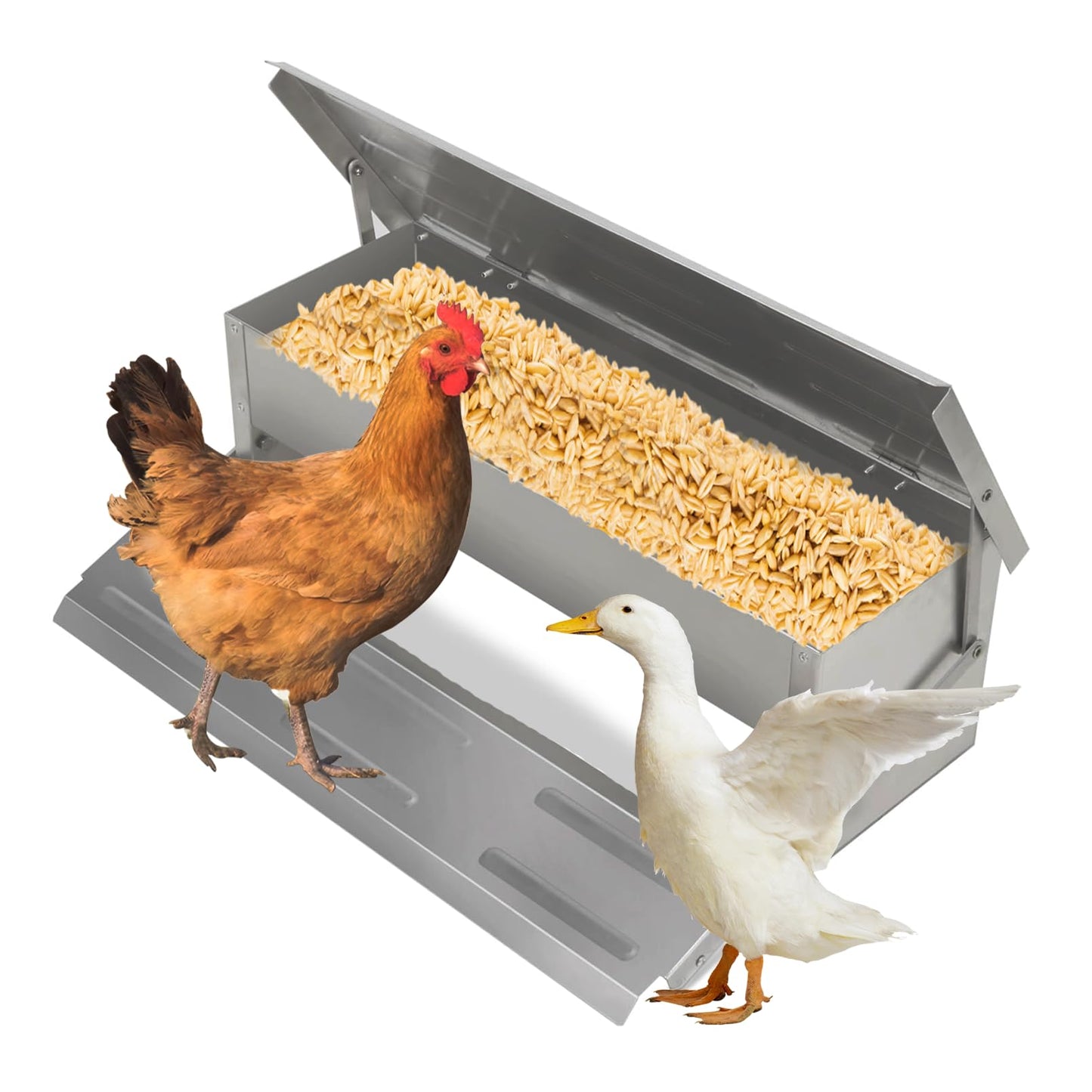 kathson Automatic Treadle Chicken Feeder,11lbs Pedal Chicken Feeder Rat Proof Poultry Feeder with Rainproof Lid Stainless Steel Treadle Feeder for Chickens Pheasants Ducks