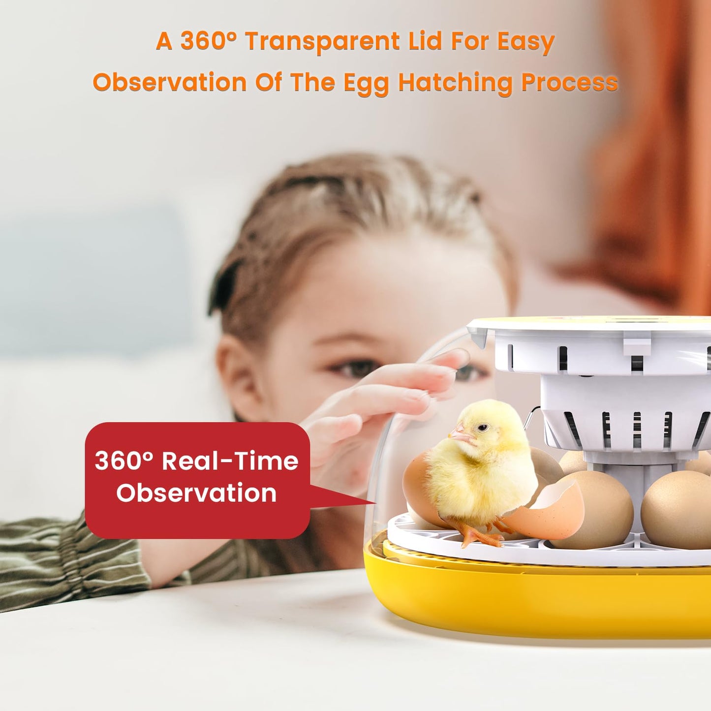 TRIOCOTTAGE 12 Clear Egg Hatching Incubator with Automatic Egg Turning and Auto Water Replenishment for Chicken Eggs and Quail Egg (Eco-Friendly Packaging)