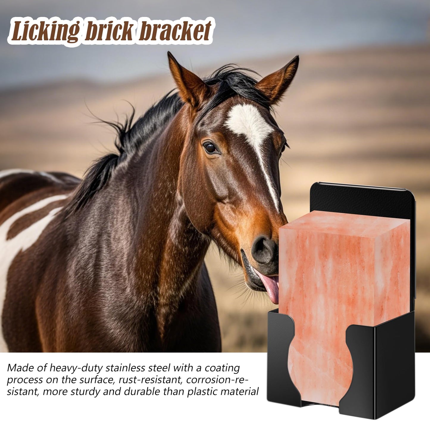 KHEARPSL 2pcs Stainless Steel Salt Block Holder 4lbs Mineral Lick Salt Block Holder for Deer Horse Cattle Salt Lick Blocks, Bottom with Drainage and Ventilation Holes