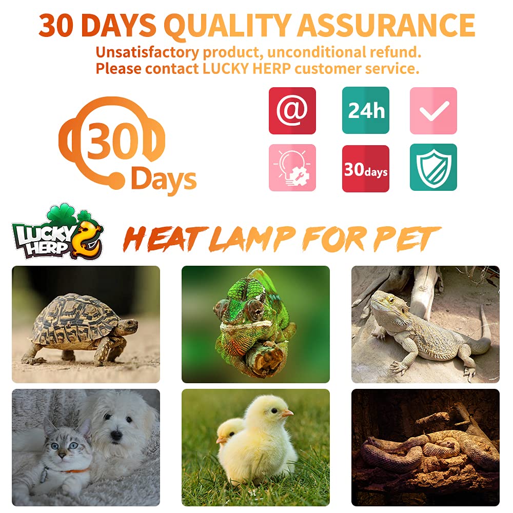 LUCKY HERP 100W Ceramic Heat Emitter, Reptile Heat Bulbs, Ceramic Heat Lamp for Reptiles, Amphibian, Chicken, Dog, Cat (2-Pack)