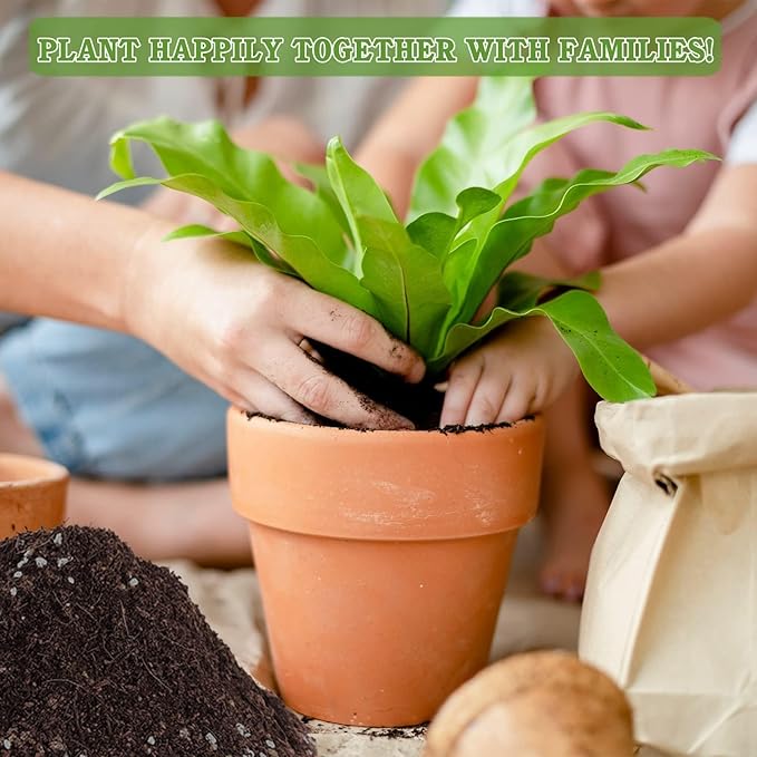 Halatool 6QT Natural Cactus Soil Garden Top Succulent Soil for Houseplants Bonsai Potting Mix Indoor Potting Soil for Aloe Vera Plant Flowers Vegetables & Herbs