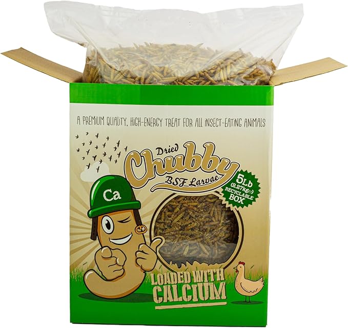 Chubby Dried Black Soldier Fly Larvae for Chickens 5lb - High Calcium Treats for Laying Hens, Ducks, Quails, Turkeys, Wild Birds - 100% Natural Non-GMO Bulk Chicken Feed, Nutrient-Rich, No Additives