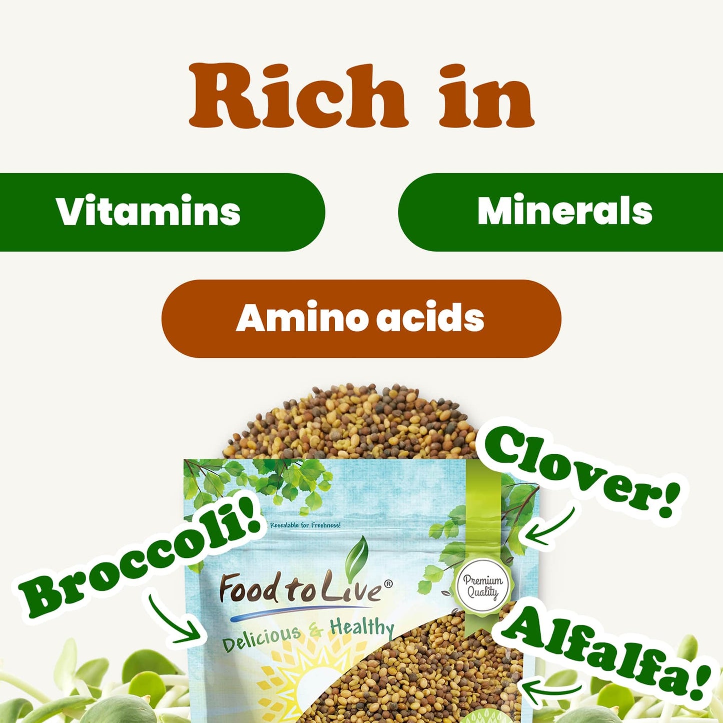 Food to Live - Antioxidant Mix of Sprouting Seeds, 10 Pounds — Broccoli, Clover, Alfalfa, Kosher, Raw, Vegan